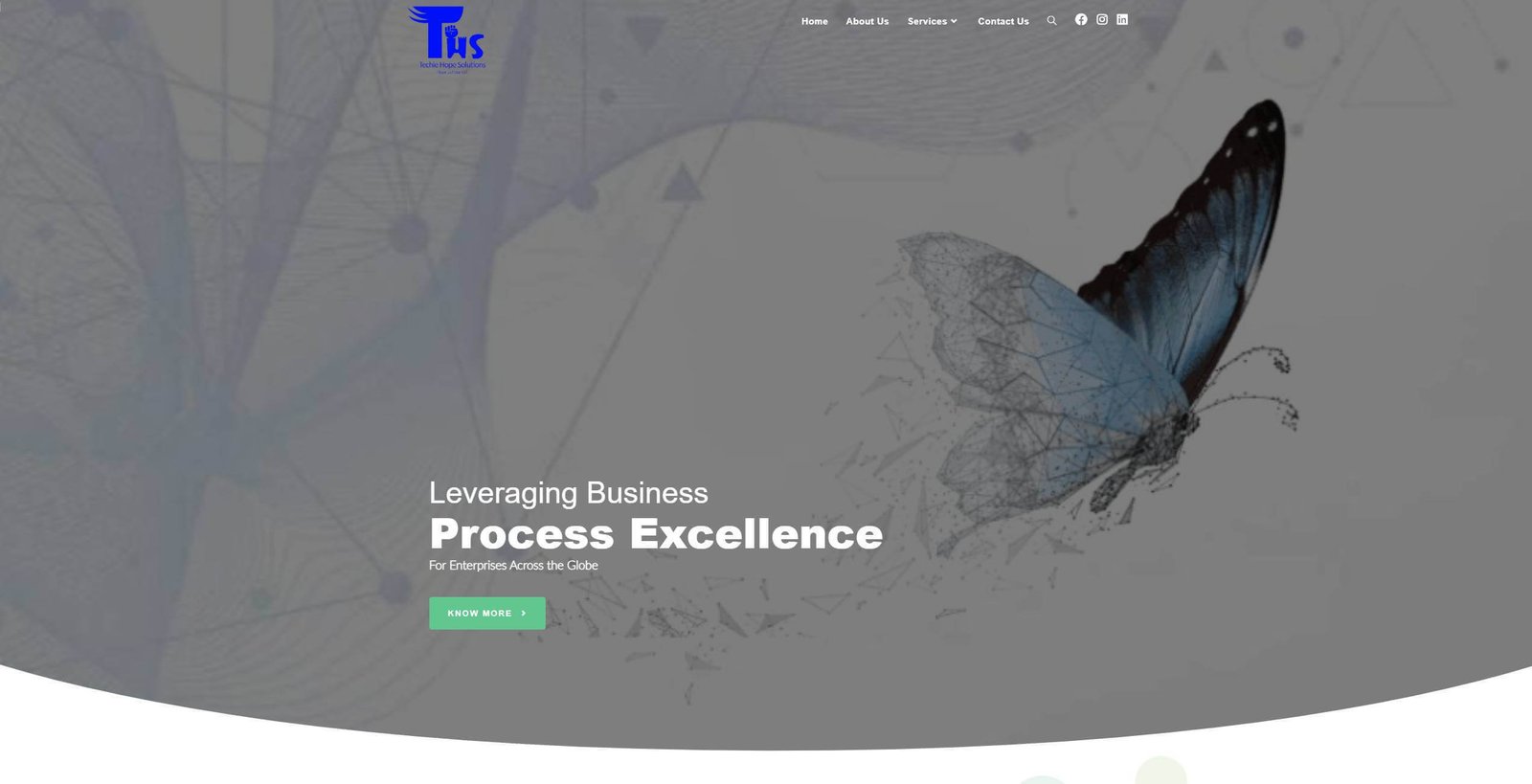 Techie Hope Solutions 